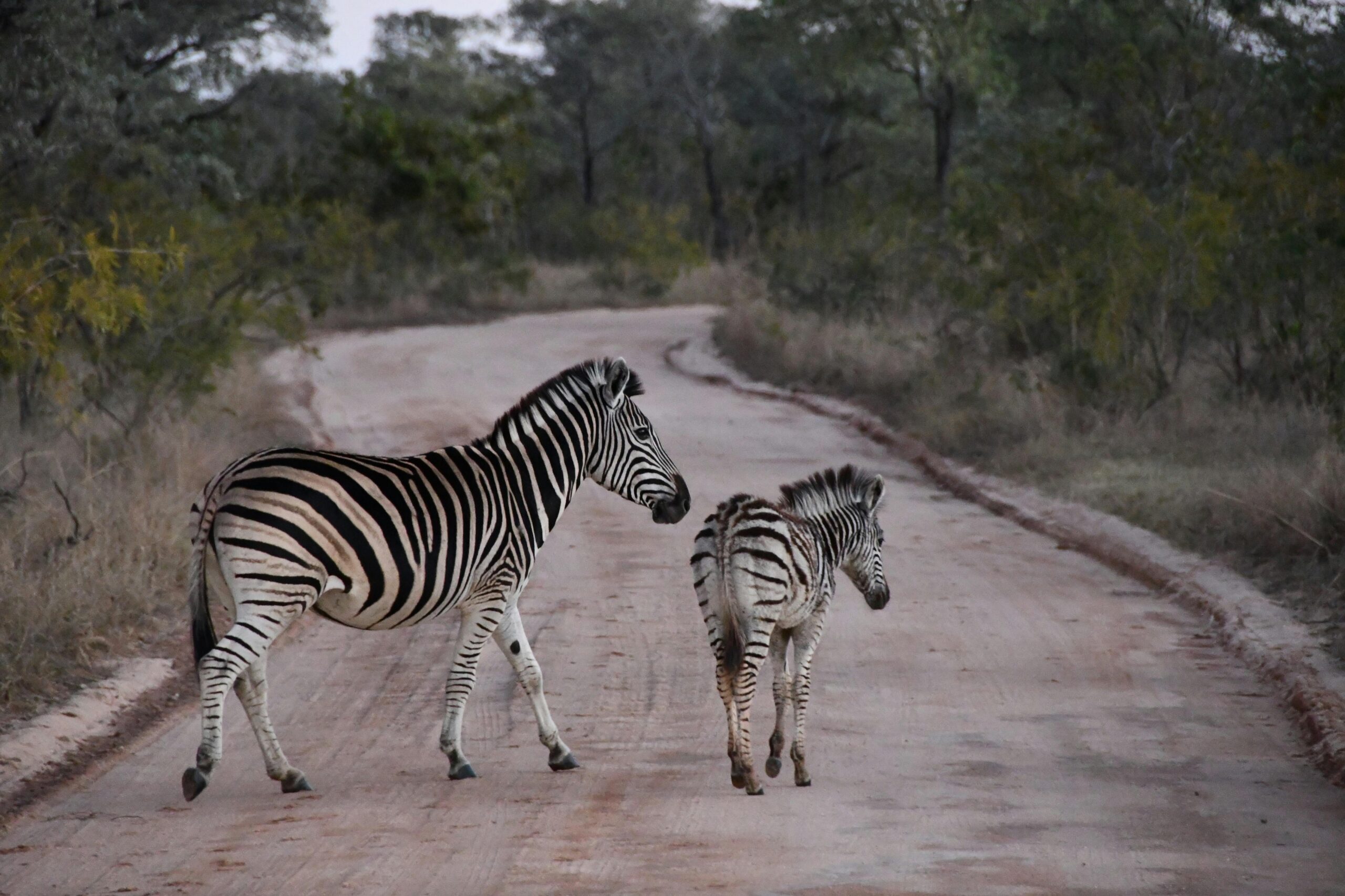 South Africa travel destinations