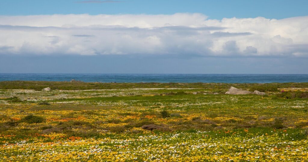 nature destinations in South African