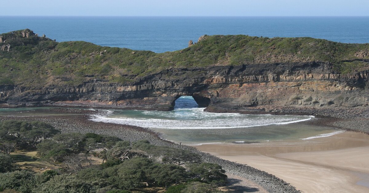 Wild Coast 