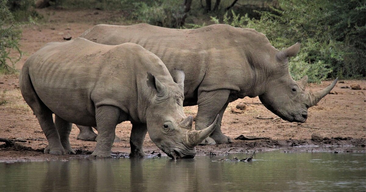 beautiful places to visit in South Africa
